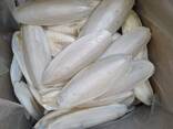 2023 Hot Sale Cuttlefish Bones Dried cuttlefish bone Cuttle fish bone - фото 7