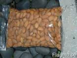 Almond nuts - photo 2