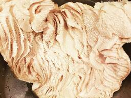 Beef omasum