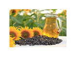 Best Quality Organic Sunflower Cooking Oil Wholesale - фото 2