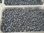 Blueberry from Poland - фото 8