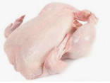 Chicken - photo 2