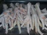 Chicken Feet and chicken paws and whole halal chicken at the best prices with prompt shipp - photo 1