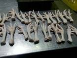 Chicken Feet and chicken paws and whole halal chicken at the best prices with prompt shipp - photo 3