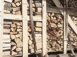 Chopped beech firewood / Hackad bok ved / Дрова колоті букові - фото 8