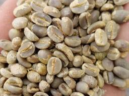 Premium arabica and robusta green beans for sale