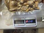 Dried mushrooms, caps and powder - фото 1