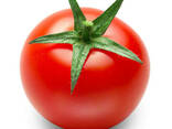 Färska tomater till salu - photo 3