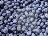 Frysta bär, frukter, bär-frukt- och kompottblandningar. - фото 1