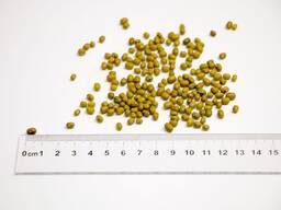 Mung Beans