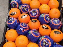 ORANGE SPIRIT