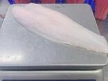 Pangasius fillets and whole frozen panga fish - фото 1