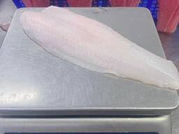 Pangasius fillets and whole frozen panga fish