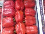 Pepper CALIFORNIA RED - фото 2