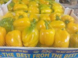 Pepper CALIFORNIA YELLOW