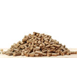 Premium ENplus-A1/A2 Wood Pellets - фото 1