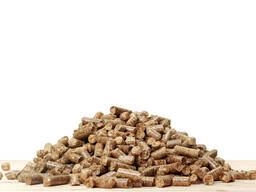 Premium ENplus-A1/A2 Wood Pellets