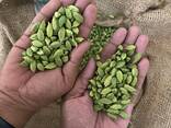 Premium green cardamom - фото 1