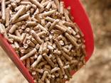 Sale wood sawdust biomass pellets - photo 4