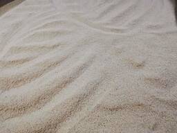 Sesame White