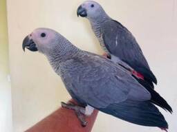 Vi är så glada att vara här för första gången. Jag heter Maggie