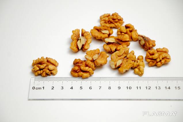Walnut - Light