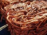 Wholesale Copper Wire Scrap Hot Sale of Copper Scrap/Cooper Wire - фото 1