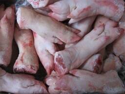 Wholesale Frozen Pork From Spain