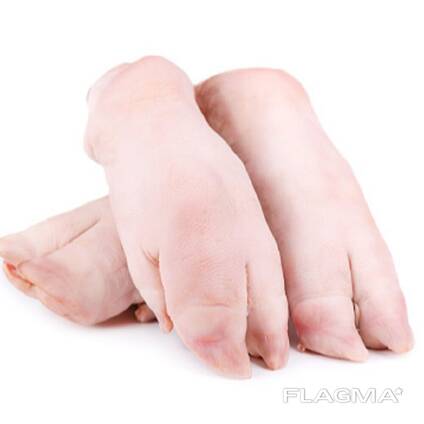 Wholesale Frozen Quartino Cut Pork Leg in Spain Buy the best grade of frozen pork leg