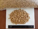 Wood fuel pellets - photo 1