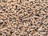 Wood Pellets - фото 5